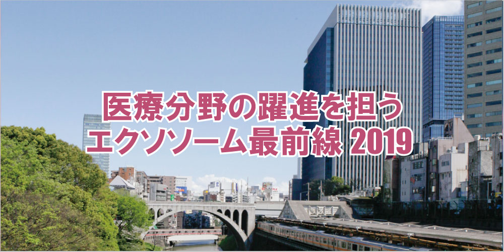 写真: